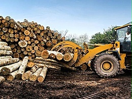 制造实木地板所用的原木来源