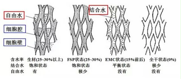 纤维饱和点