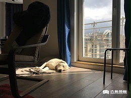 出租房木地板选购三大重点