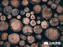 实木地板生产中的各类锯解方式有哪些优缺点